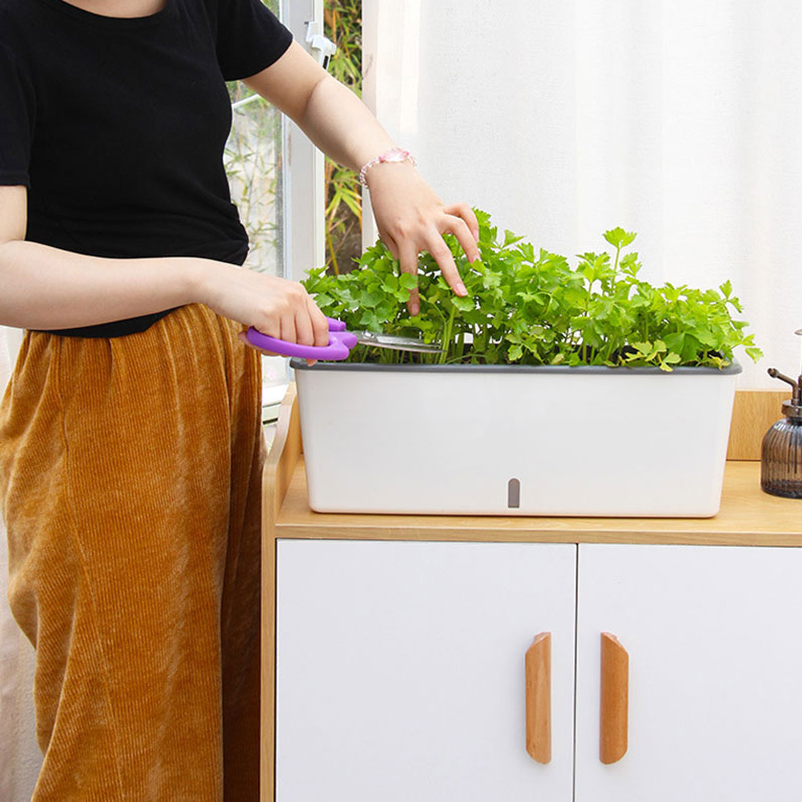 Self-Watering Planter Pots wit - Self Watering Insert review and price