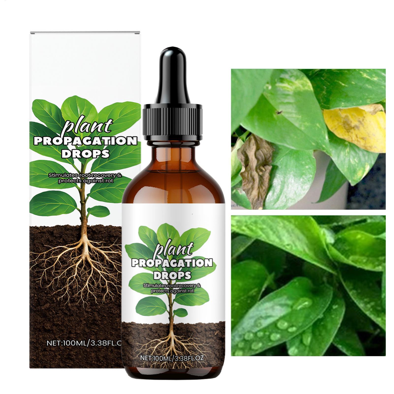 Root Booster 100ml Liquid Root - Root Stimulator Liquid review and price