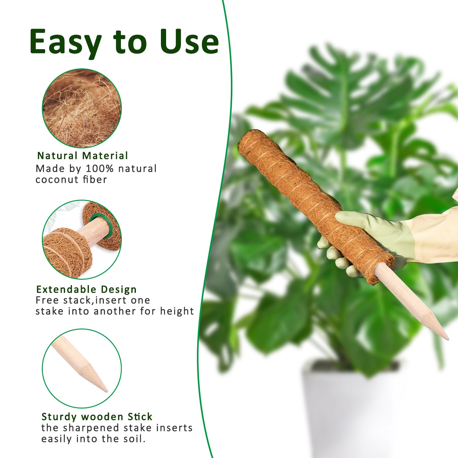 Moss Pole 38/43/53CM Monstera  - Sphagnum Moss Dry review and price