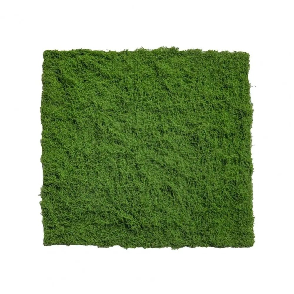DIY Artificial Grass Rug Durab - Sphagnum Moss Dry review and price