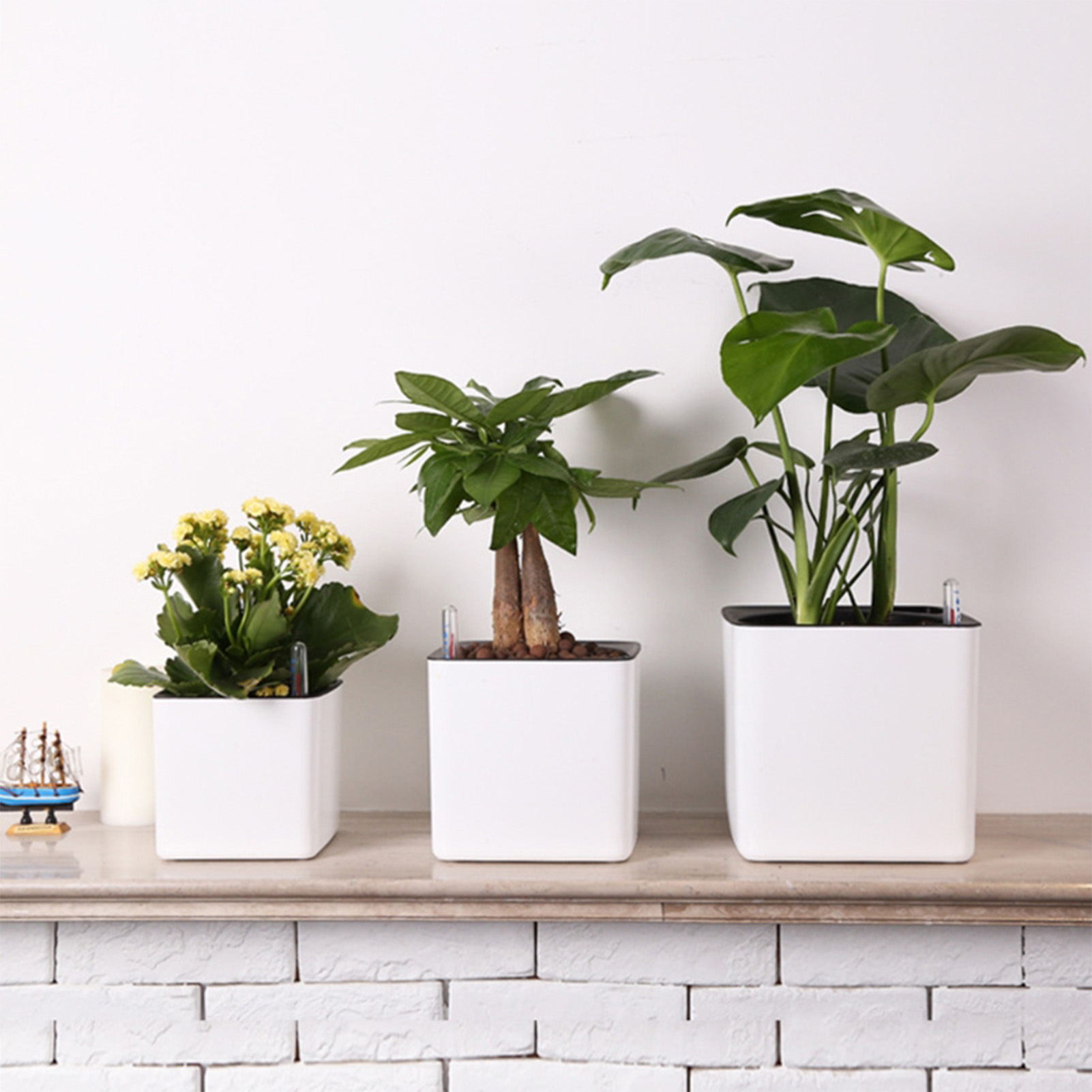 3 size Lazy flowerpot Green Pl - Self Watering Insert review and price