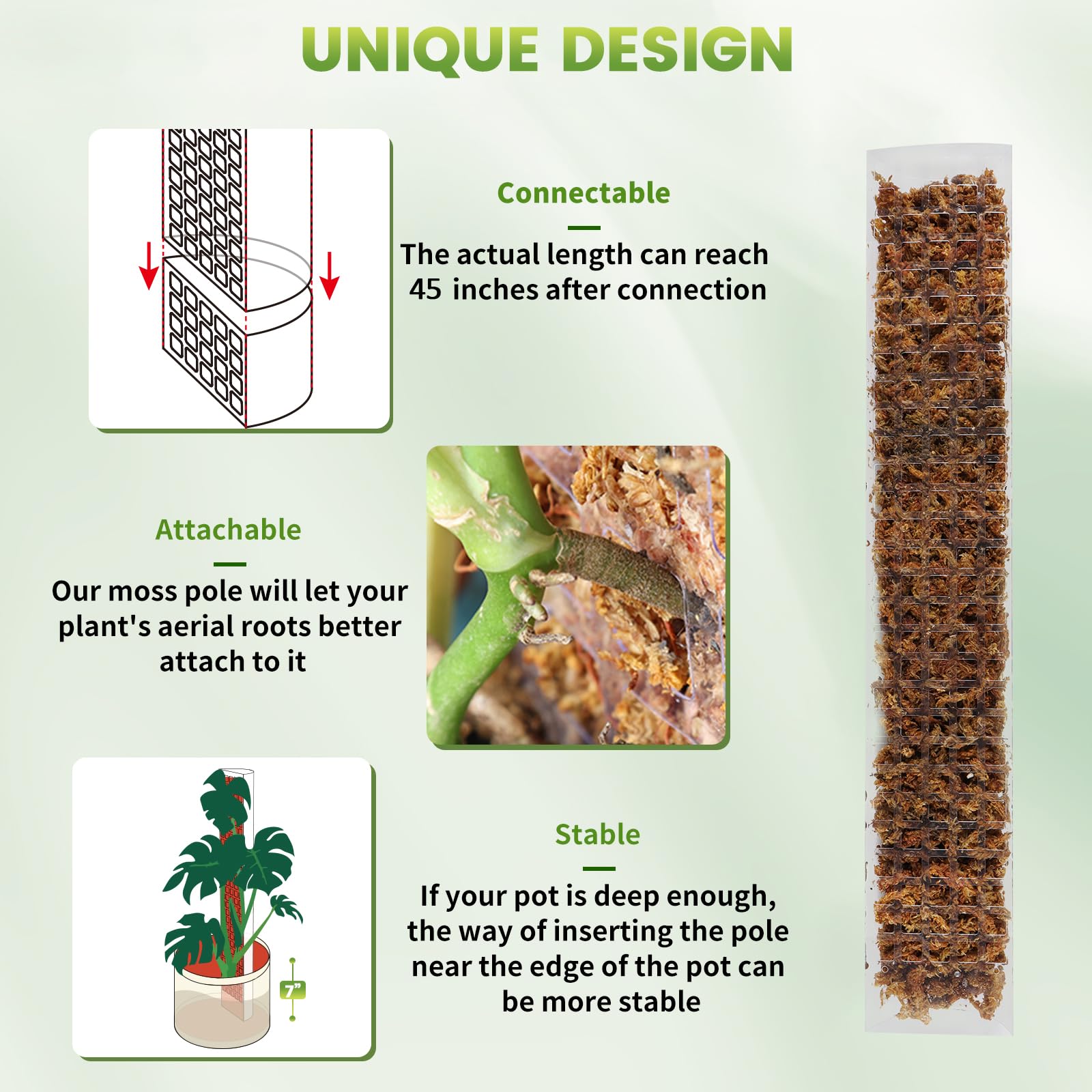 24/36/48Inch Climbing Plant Wa - Sphagnum Moss Dry review and price