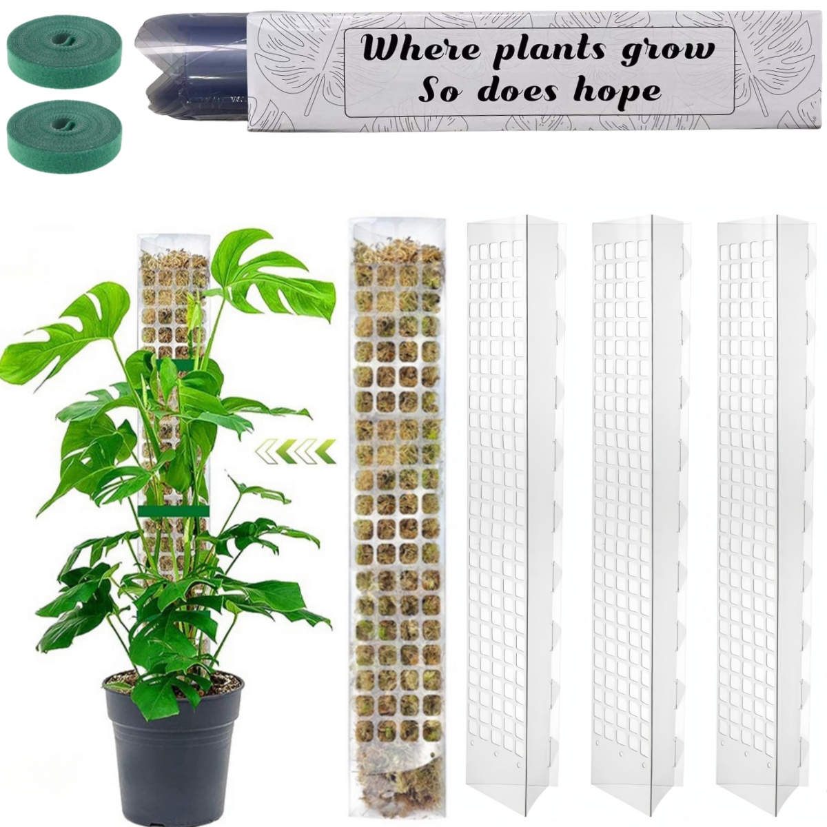 Moss Pole Plastic Plant Stand  - Sphagnum Moss Dry review and price