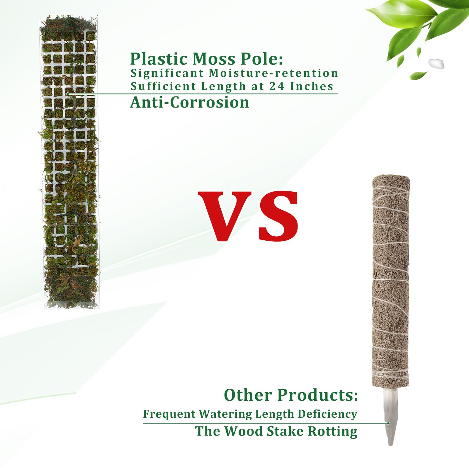 Moss Pole Plastic Plant Stand  - Sphagnum Moss Dry review and price