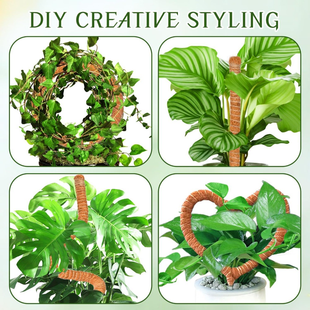30-100cm Bendable Plants Climb - Sphagnum Moss Dry review and price