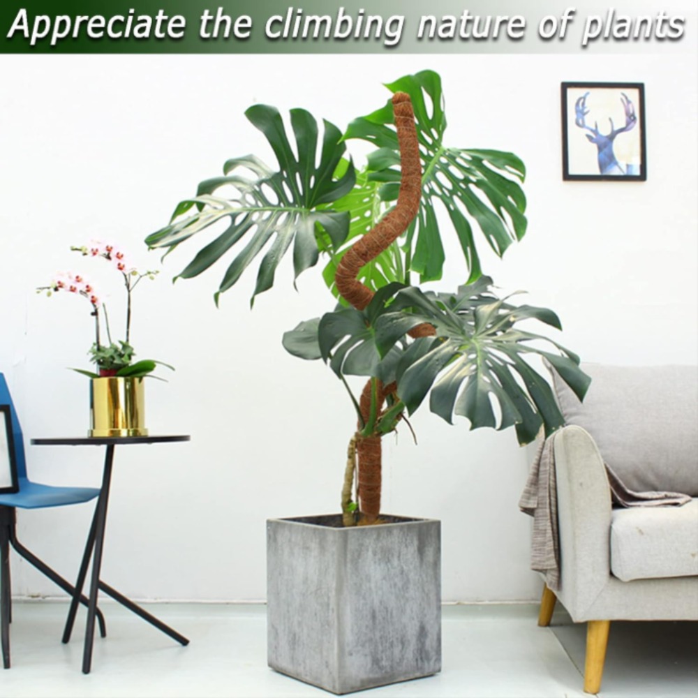 30-100cm Bendable Plants Climb - Sphagnum Moss Dry review and price