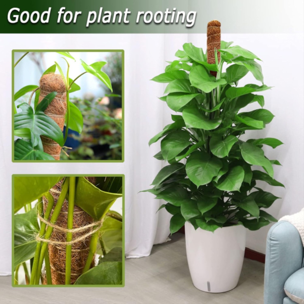 30-100cm Bendable Plants Climb - Sphagnum Moss Dry review and price