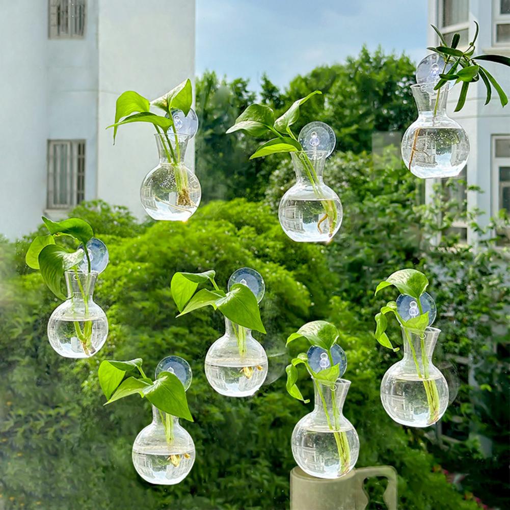 Window Planter Vase Window Pla - Propagation Station Vase review and price