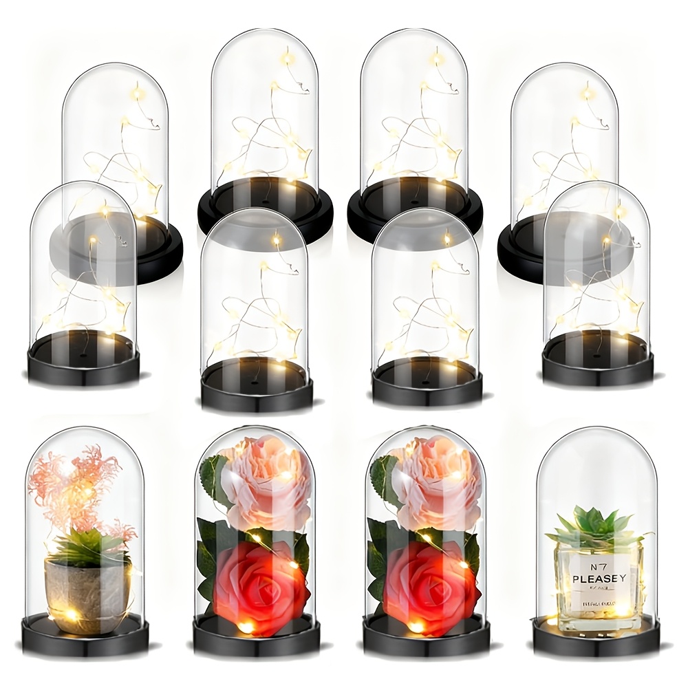 Clear Plastic Christmas Orname - Plastic Dome Clear review and price