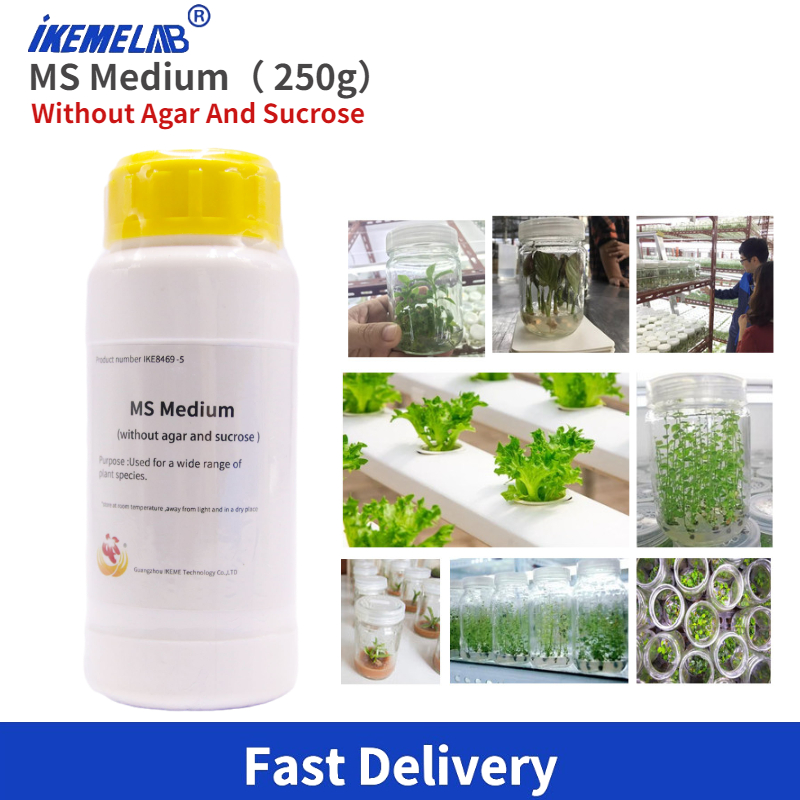 IKEME Lab MS Medium 250g Witho - Agar Tissue Culture review and price