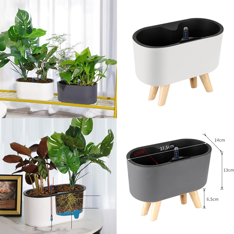 Indoor Plant With Indicator Wo - Self Watering Insert review and price