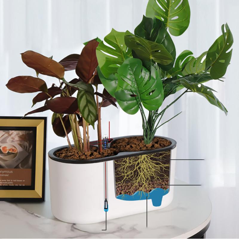 Indoor Plant With Indicator Wo - Self Watering Insert review and price