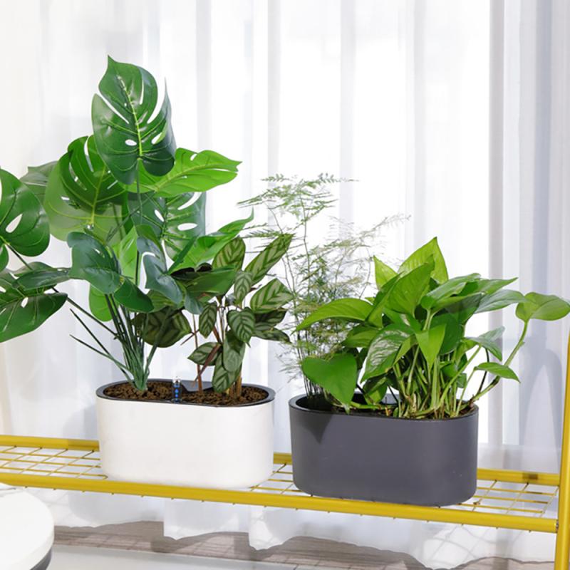 Indoor Plant With Indicator Wo - Self Watering Insert review and price