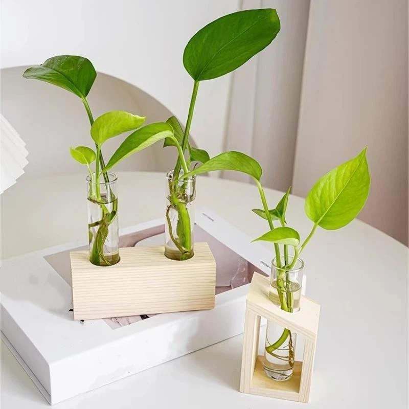 Test Tube Glass Vase Plant Pro - Propagation Station Vase review and price