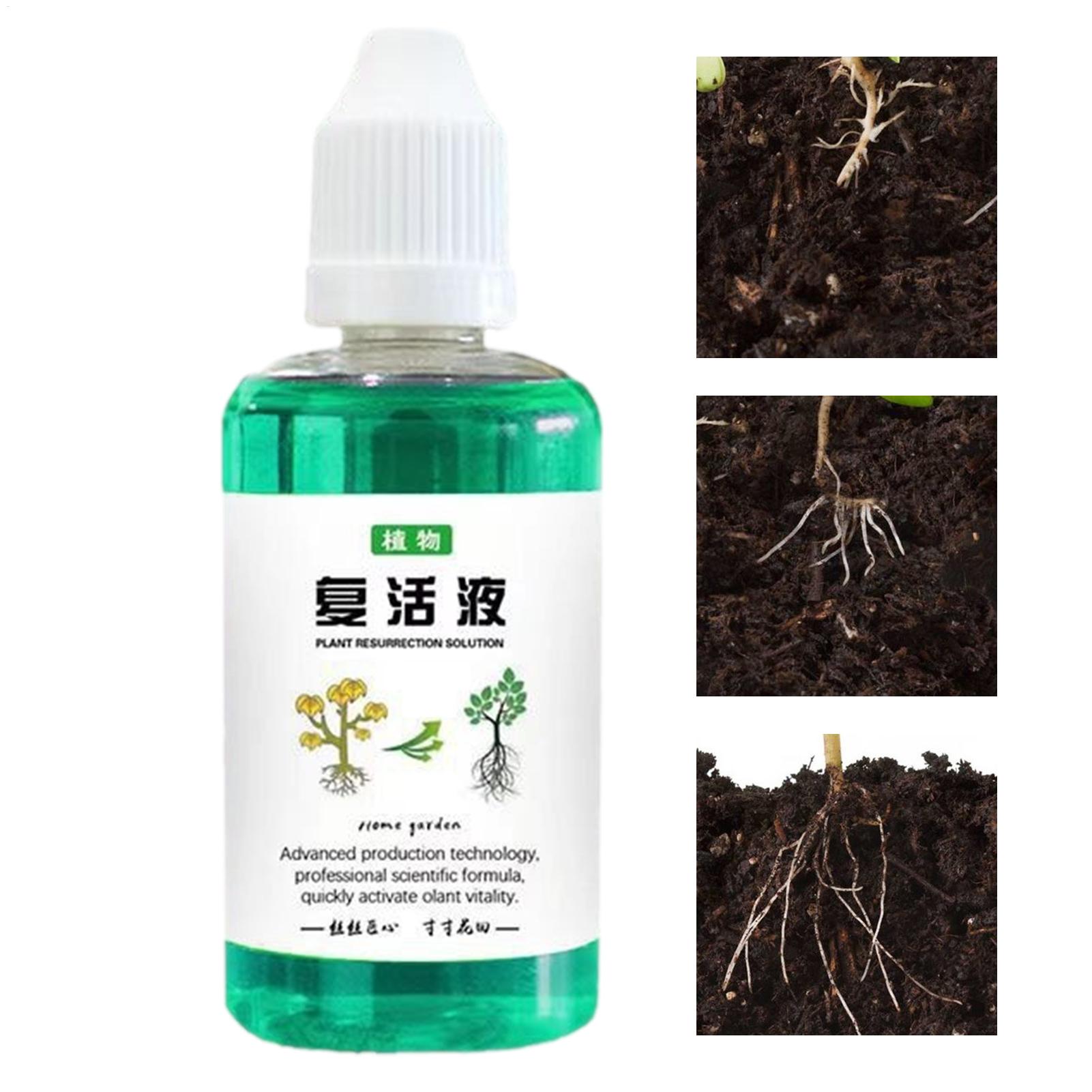 Root Stimulator For Plants 50m - Root Stimulator Liquid review and price