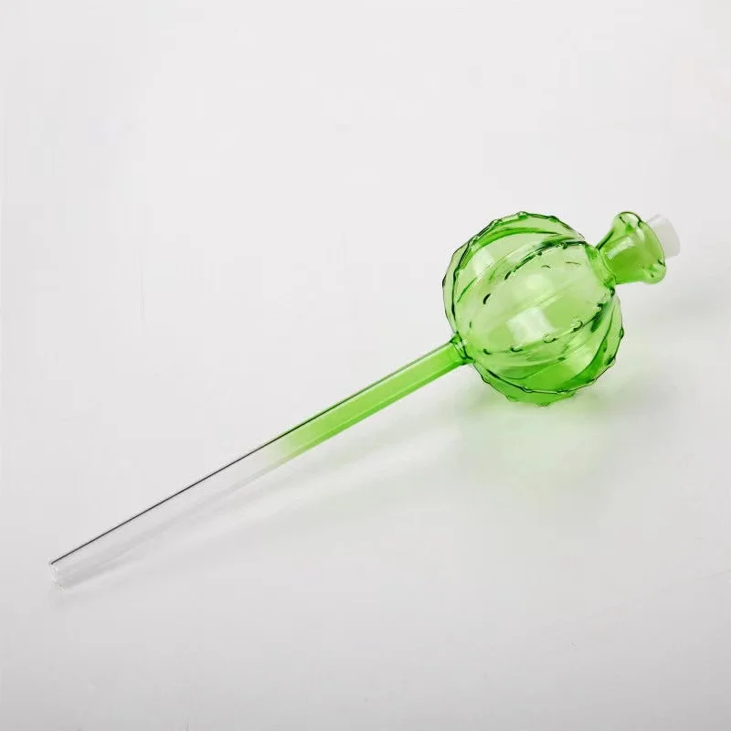 Creative Glass Plant Flowers W - Self Watering Insert review and price