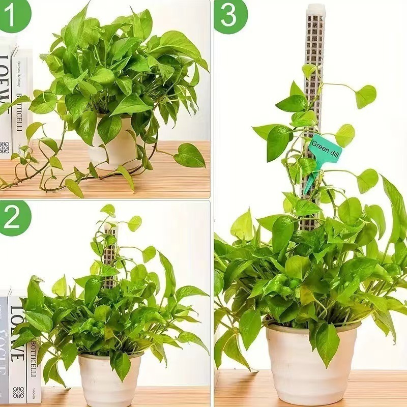 1/2/3pcs Self-watering Moss Po - Sphagnum Moss Dry review and price