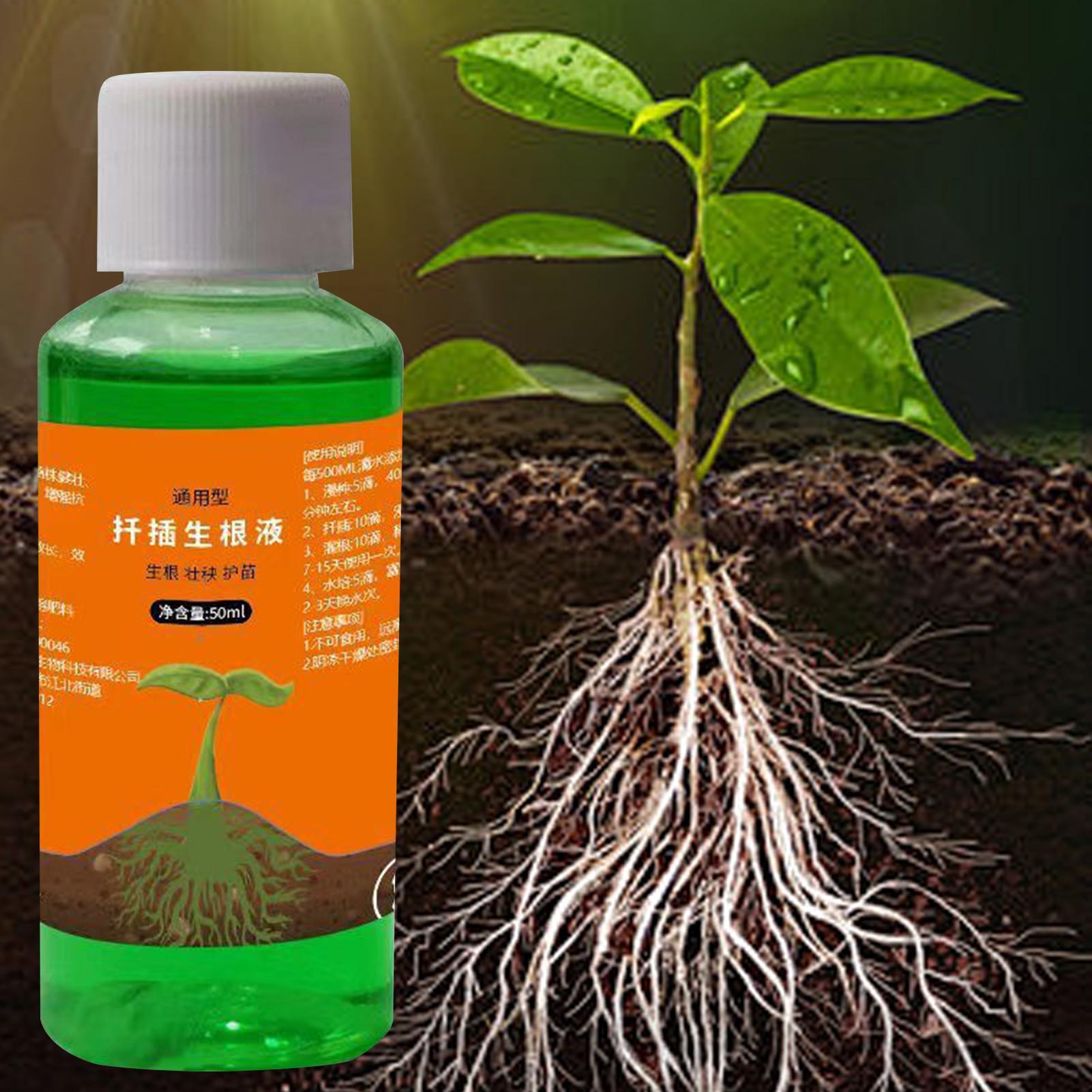 High-Efficiency Root Stimulato - Root Stimulator Liquid review and price