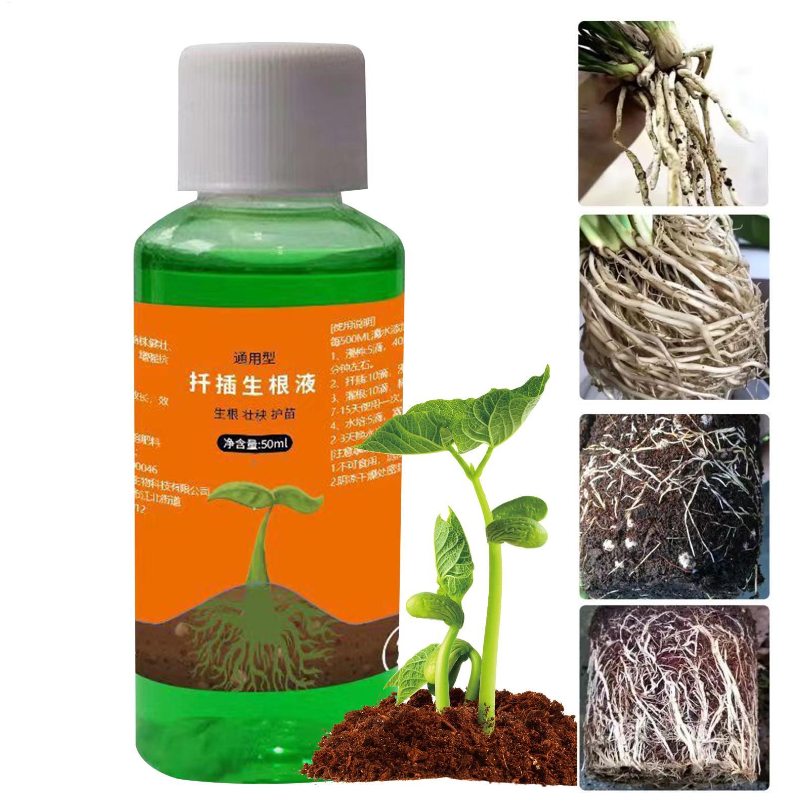 50ml Transplanting Nutrient So - Root Stimulator Liquid review and price