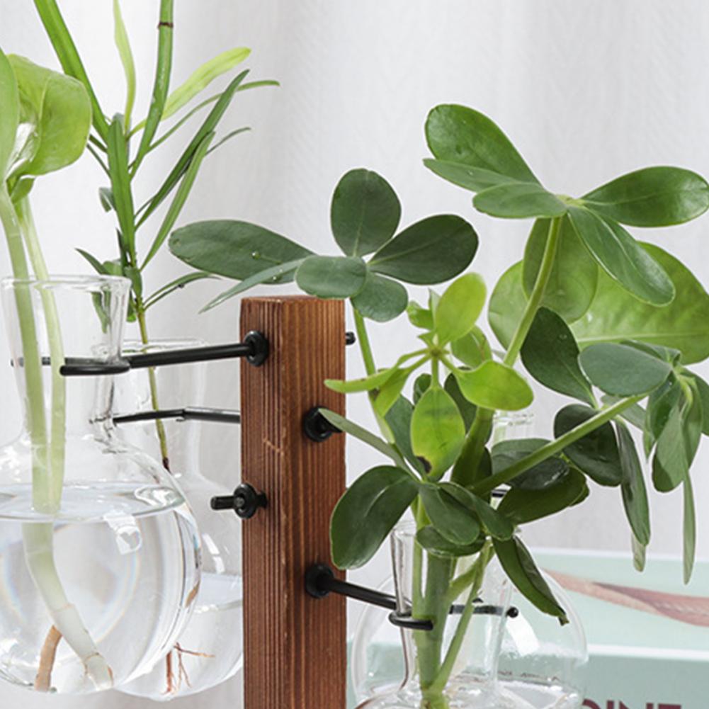 1 Set 10*25cm Plants Propagati - Propagation Station Vase review and price