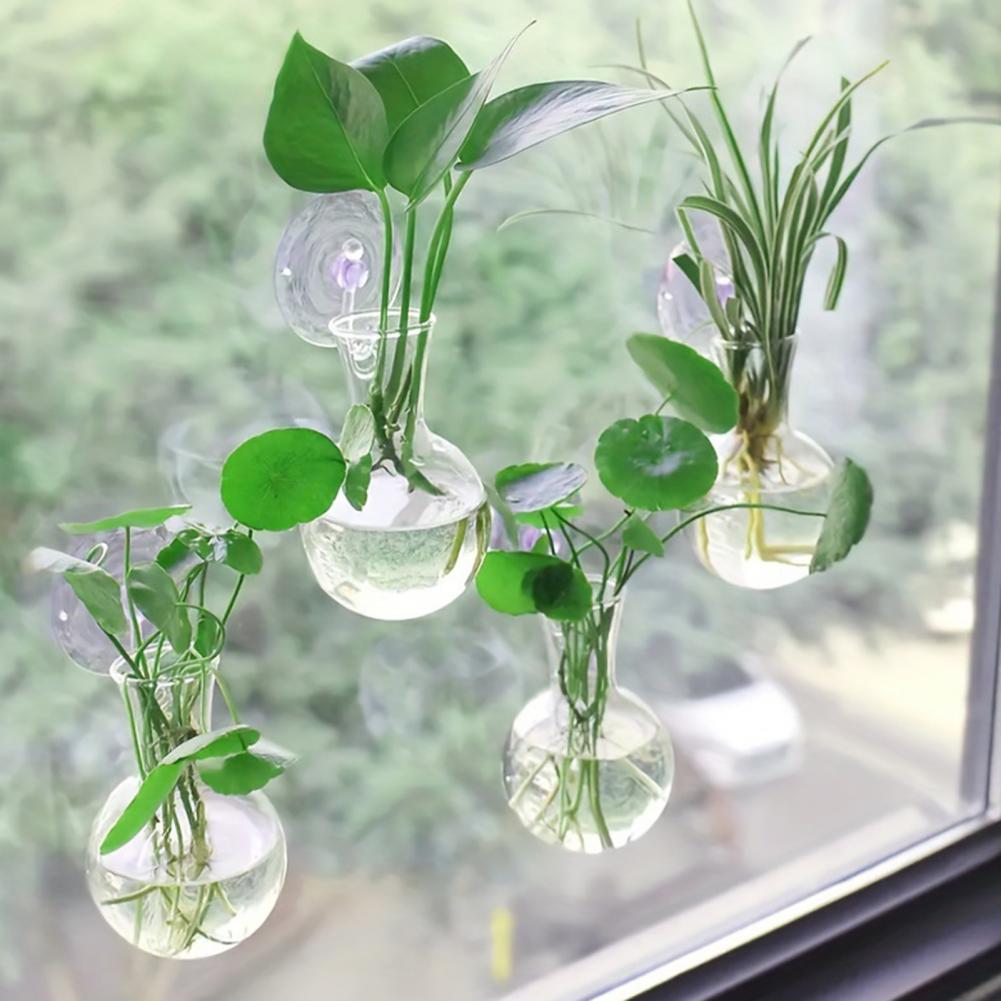 1/2/3/4/6/8Pcs Plant Propagati - Propagation Station Vase review and price