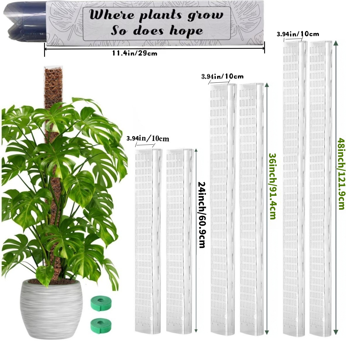 Plastic Moss Pole,24in/36in/48 - Sphagnum Moss Dry review and price