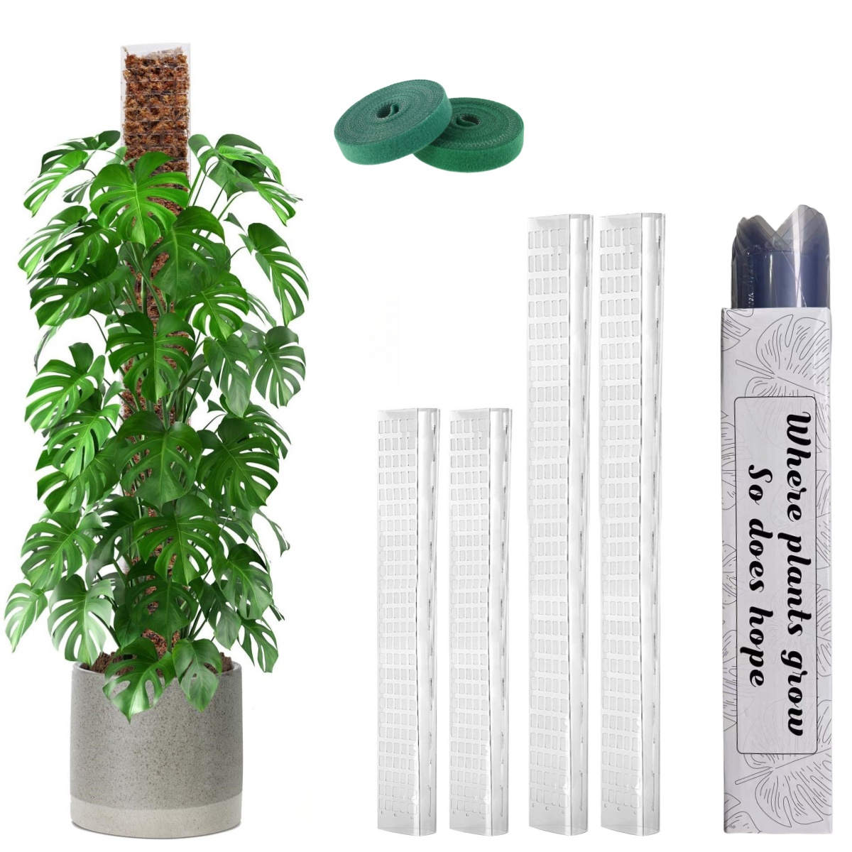 Plastic Moss Pole,24in/36in/48 - Sphagnum Moss Dry review and price