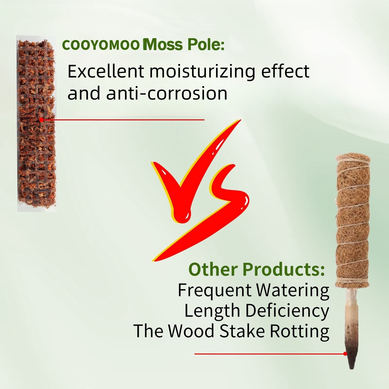 Plastic Moss Pole,24in/36in/48 - Sphagnum Moss Dry review and price