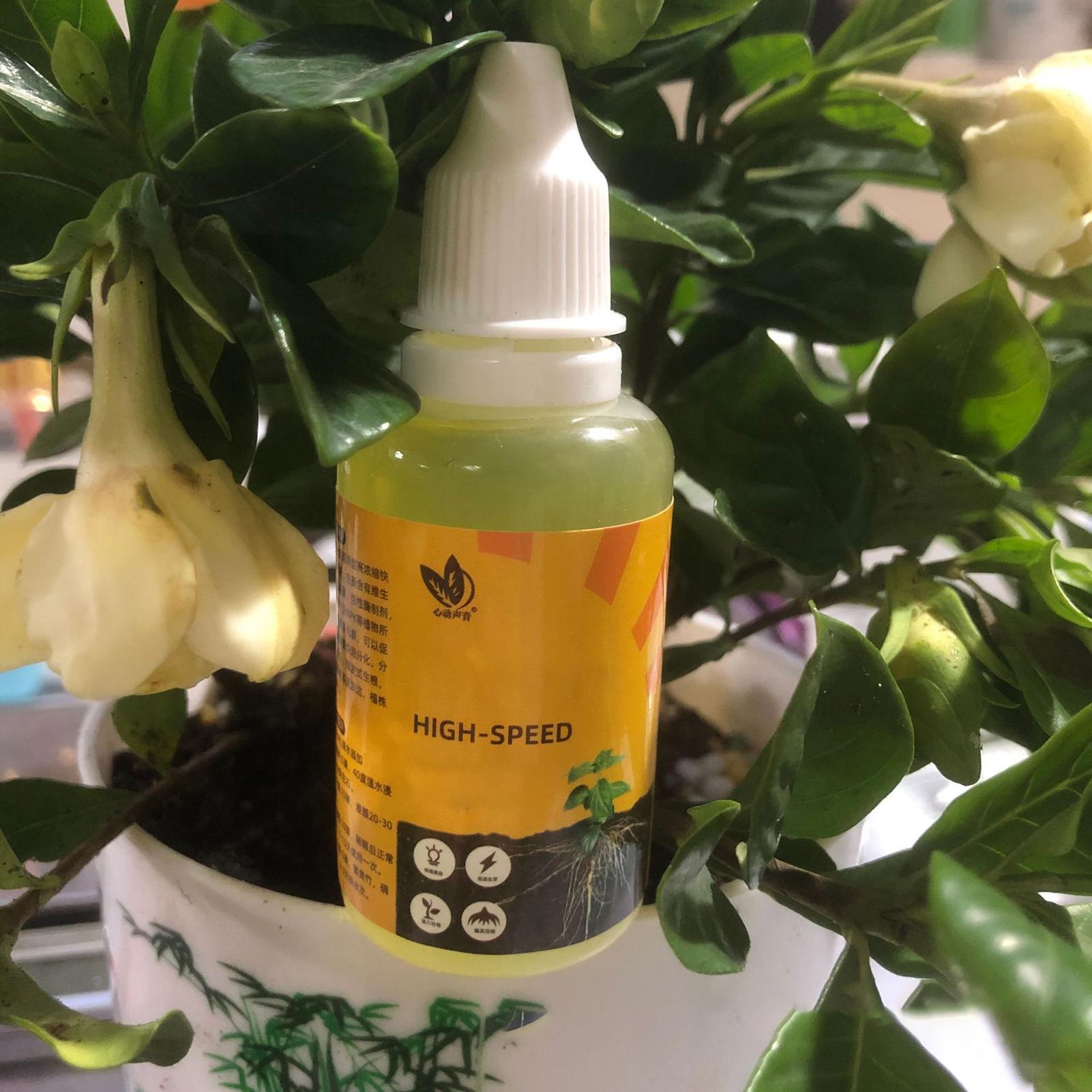 Plant Rapid Rooting Solution 5 - Root Stimulator Liquid review and price