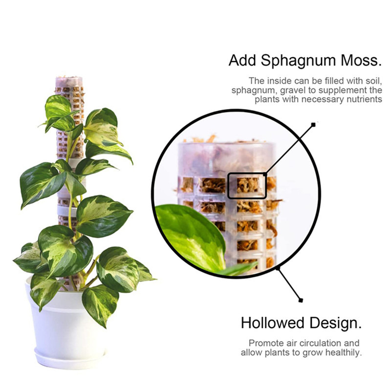 Plant Climbing Column Sphagnum - Sphagnum Moss Dry review and price