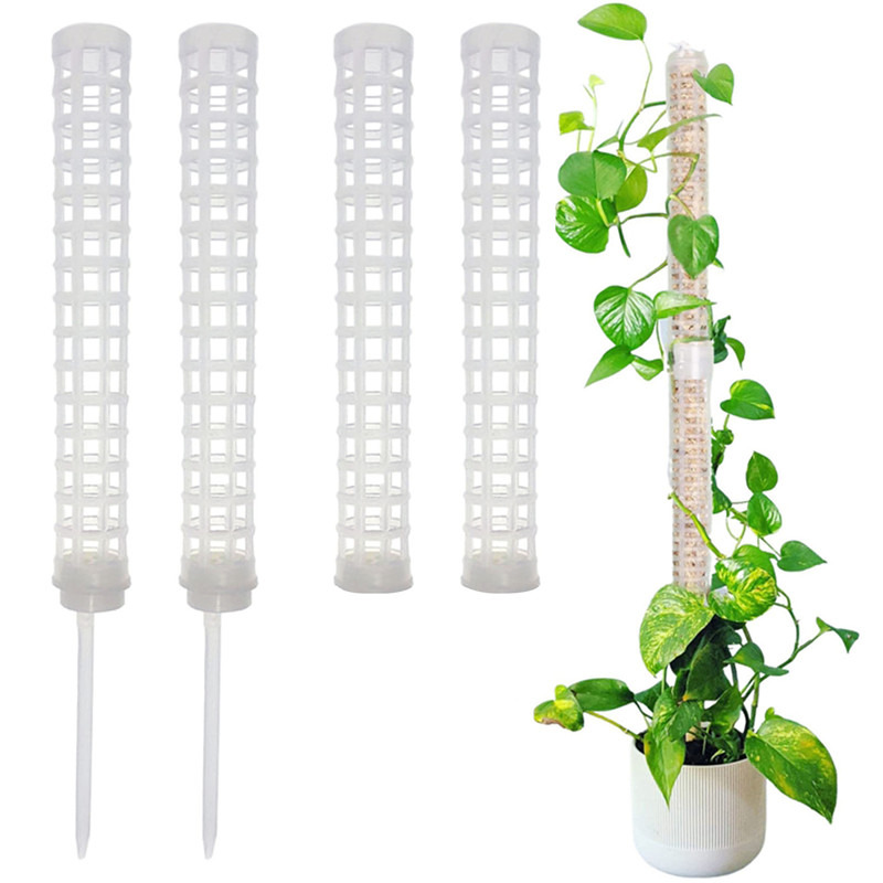 Plant Climbing Column Sphagnum - Sphagnum Moss Dry review and price