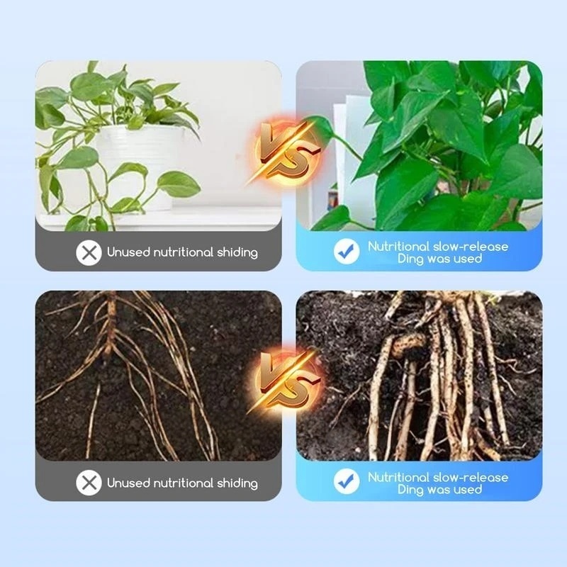 2bags Rooting Hormone Powder U - Rooting Hormone Powder review and price