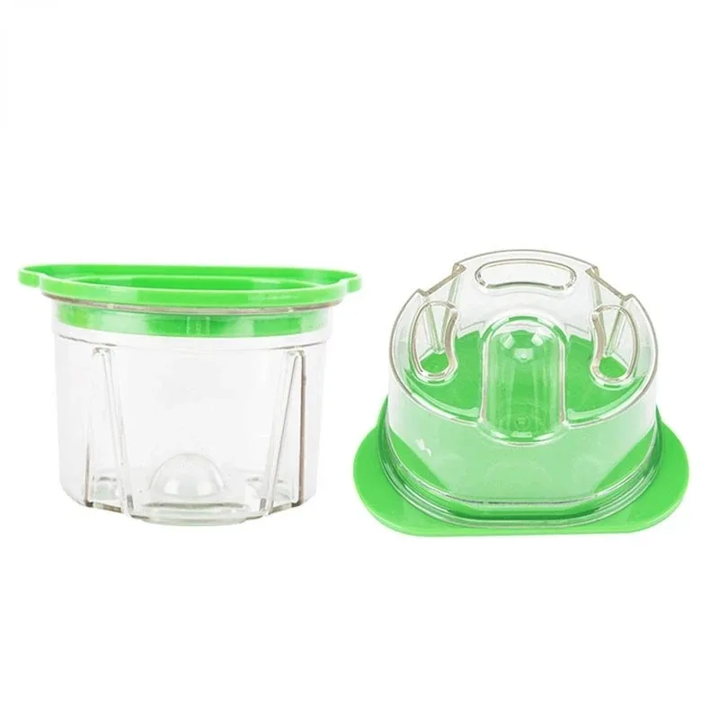 3Pcs Dental Plastic Agar Box D - Agar Tissue Culture review and price