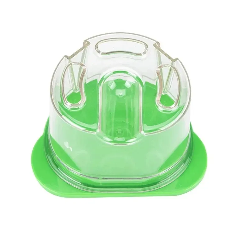 3Pcs Dental Plastic Agar Box D - Agar Tissue Culture review and price