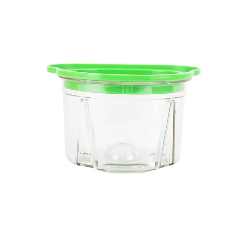 3Pcs Dental Plastic Agar Box D - Agar Tissue Culture review and price