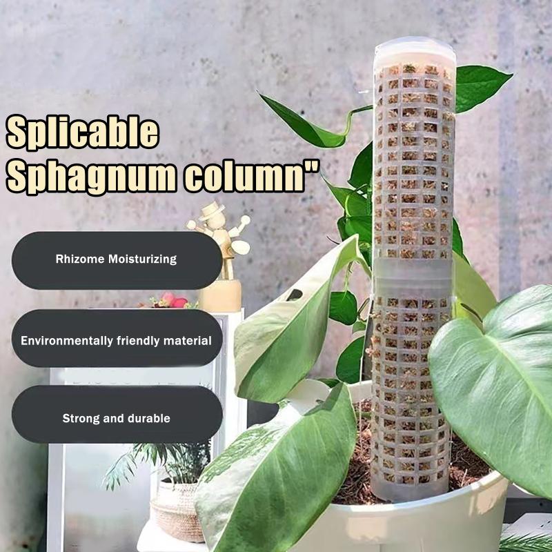 6Pcs Moss Pole Plastic Plant S - Sphagnum Moss Dry review and price