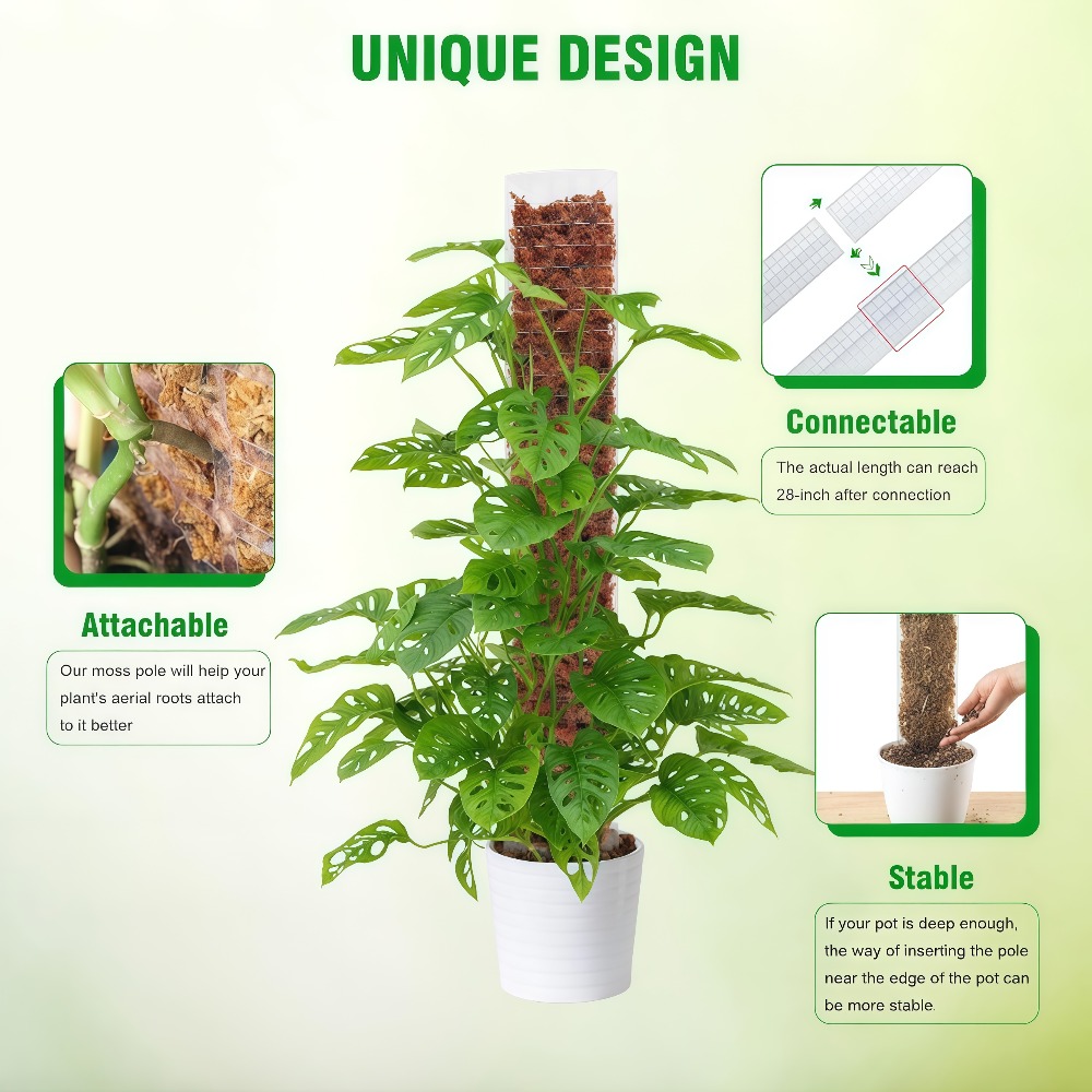 Moss Pole Plastic Plant Stand  - Sphagnum Moss Dry review and price