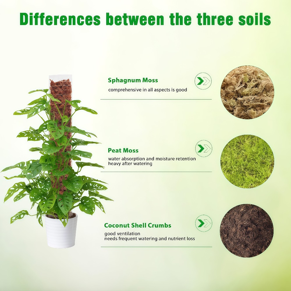 Moss Pole Plastic Plant Stand  - Sphagnum Moss Dry review and price